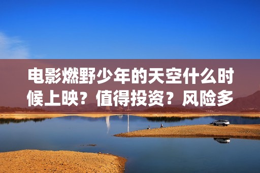 电影燃野少年的天空什么时候上映？值得投资？风险多大？(燃野少年 mp4)
