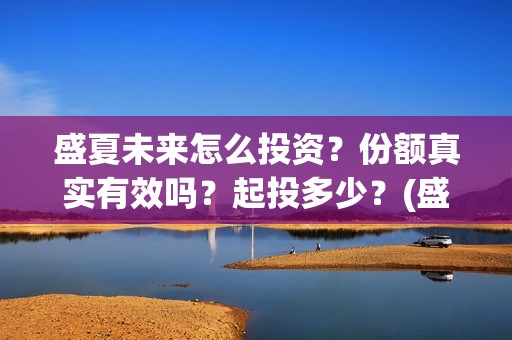 盛夏未来怎么投资？份额真实有效吗？起投多少？(盛夏未来怎么在手机上看)