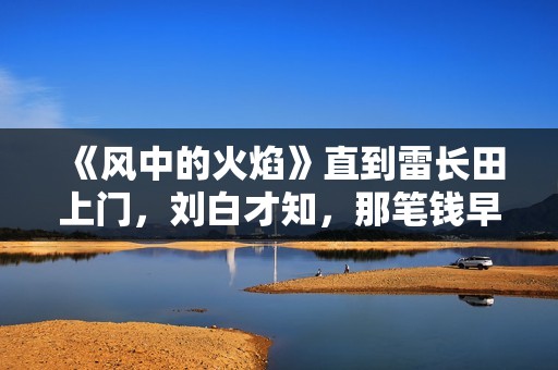 《风中的火焰》直到雷长田上门，刘白才知，那笔钱早已被梅苇拿走
