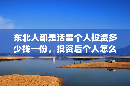 东北人都是活雷个人投资多少钱一份，投资后个人怎么分红？(东北人都是活雷锋歌词完整版)