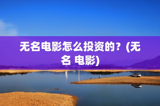 无名电影怎么投资的？(无名 电影)