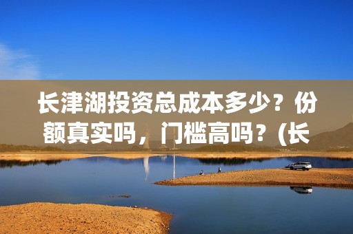 长津湖投资总成本多少？份额真实吗，门槛高吗？(长津湖投资规模)