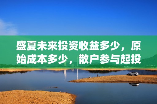 盛夏未来投资收益多少，原始成本多少，散户参与起投门槛多少？(盛夏未来投资收益如何)