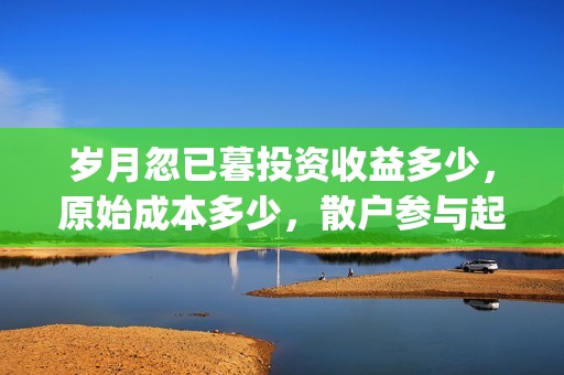 岁月忽已暮投资收益多少，原始成本多少，散户参与起投门槛多少？(岁月忽已暮下一句)