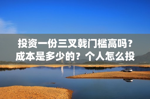 投资一份三叉戟门槛高吗？成本是多少的？个人怎么投资参与一份？(三叉戟造价)