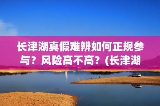 长津湖真假难辨如何正规参与？风险高不高？(长津湖真不真实)
