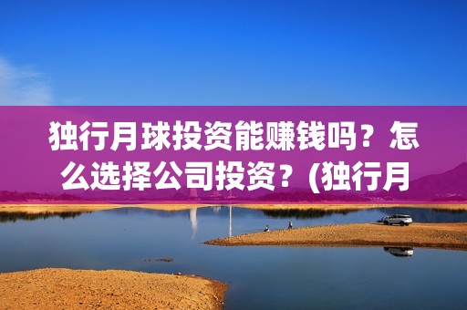 独行月球投资能赚钱吗？怎么选择公司投资？(独行月球投资方)
