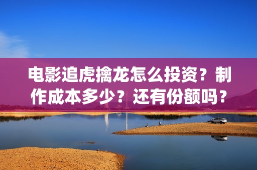 电影追虎擒龙怎么投资？制作成本多少？还有份额吗？(追虎擒龙首映)