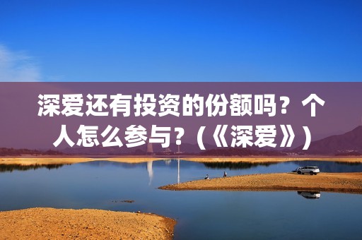 深爱还有投资的份额吗？个人怎么参与？(《深爱》)