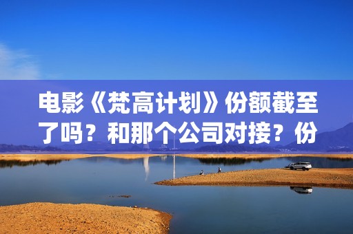 电影《梵高计划》份额截至了吗？和那个公司对接？份额真实吗？(梵高计划出品人)