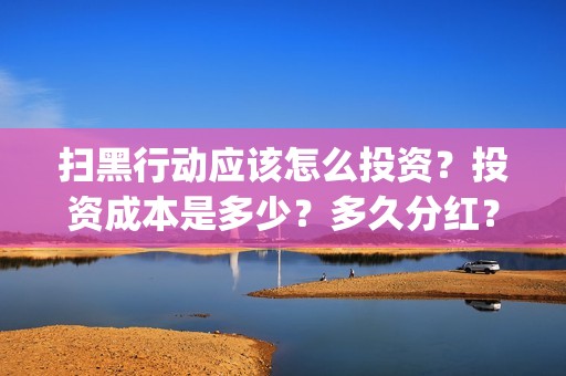 扫黑行动应该怎么投资？投资成本是多少？多久分红？(扫黑行动应该怎么拍摄的)