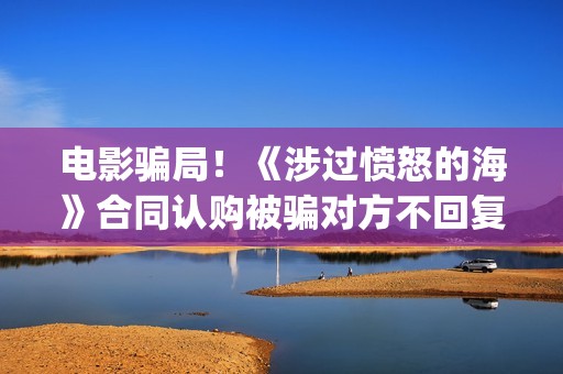 电影骗局！《涉过愤怒的海》合同认购被骗对方不回复怎么办？怎么追回资金？(电影诈骗案件立案后公安会怎么处理)