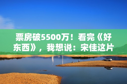 票房破5500万！看完《好东西》，我想说：宋佳这片真是“好东西”