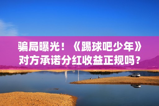 骗局曝光！《踢球吧少年》对方承诺分红收益正规吗？交钱进去被骗怎么办？——抵制耐克(网络上说的踢踢什么意思)