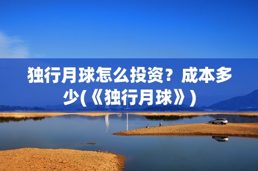 独行月球怎么投资？成本多少(《独行月球》)