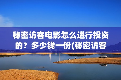秘密访客电影怎么进行投资的？多少钱一份(秘密访客影片解析)