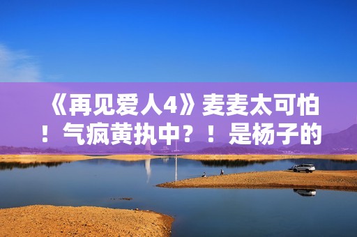 《再见爱人4》麦麦太可怕！气疯黄执中？！是杨子的“救世主”！