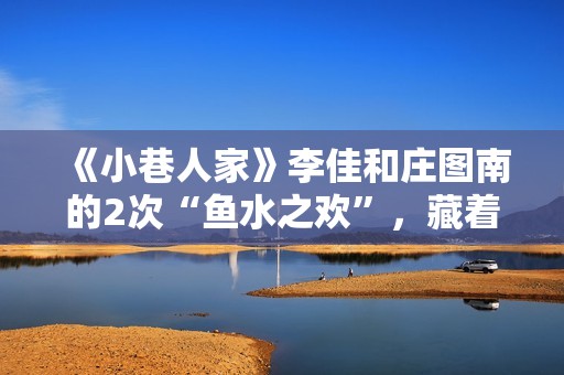 《小巷人家》李佳和庄图南的2次“鱼水之欢”，藏着成年人的算计