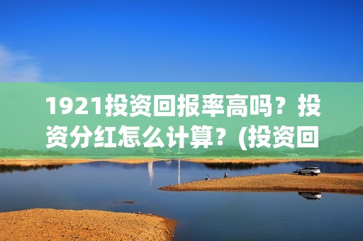 1921投资回报率高吗？投资分红怎么计算？(投资回报率100%什么意思)