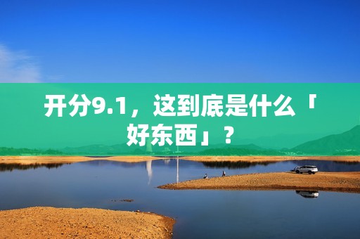 开分9.1，这到底是什么「好东西」？