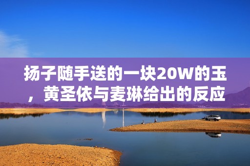 扬子随手送的一块20W的玉，黄圣依与麦琳给出的反应却天差地别