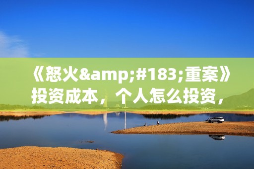《怒火·重案》投资成本，个人怎么投资，多少钱一份？(《怒火·重案》高清)