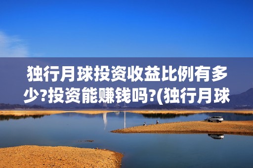 独行月球投资收益比例有多少?投资能赚钱吗?(独行月球制片人)