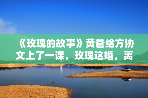 《玫瑰的故事》黄爸给方协文上了一课，玫瑰这婚，离对了！