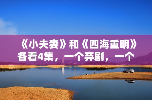 《小夫妻》和《四海重明》各看4集，一个弃剧，一个追到底