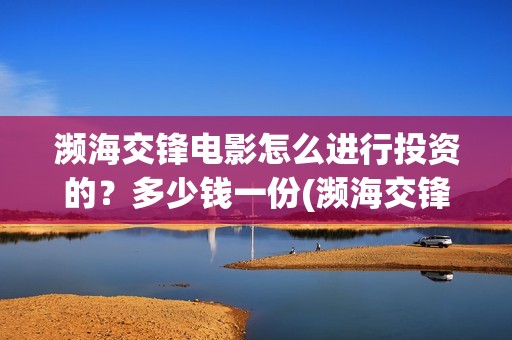 濒海交锋电影怎么进行投资的？多少钱一份(濒海交锋电影怎么样)
