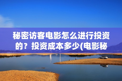 秘密访客电影怎么进行投资的？投资成本多少(电影秘密访客视频)