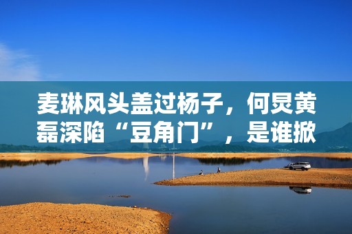 麦琳风头盖过杨子，何炅黄磊深陷“豆角门”，是谁掀起全民骂战？