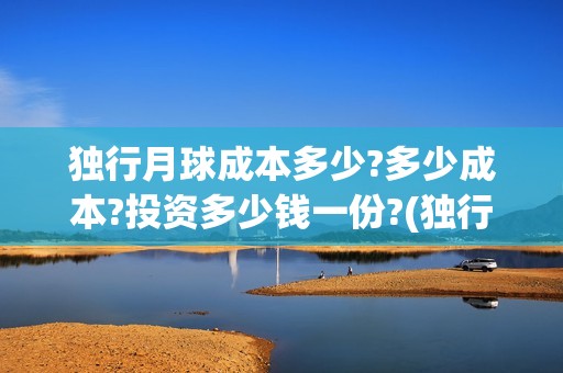 独行月球成本多少?多少成本?投资多少钱一份?(独行月球制作成本)
