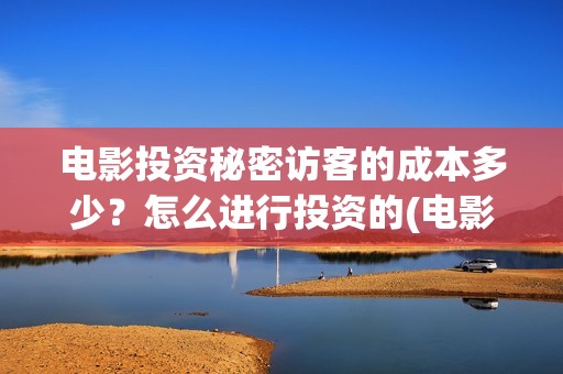 电影投资秘密访客的成本多少？怎么进行投资的(电影投资独家揭秘)