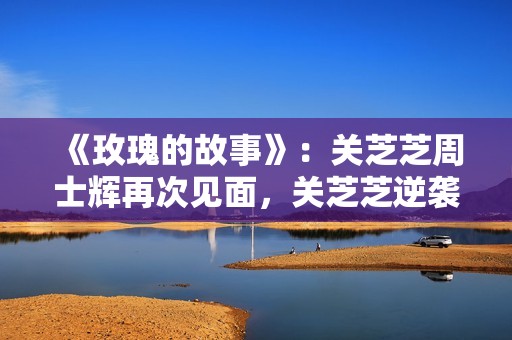 《玫瑰的故事》：关芝芝周士辉再次见面，关芝芝逆袭成为亿万富翁