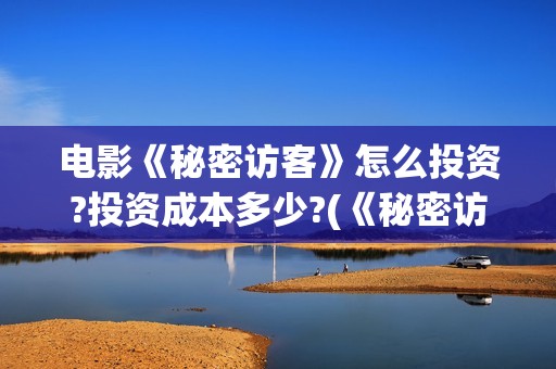 电影《秘密访客》怎么投资?投资成本多少?(《秘密访客》上映)