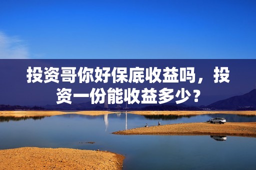 投资哥你好保底收益吗，投资一份能收益多少？