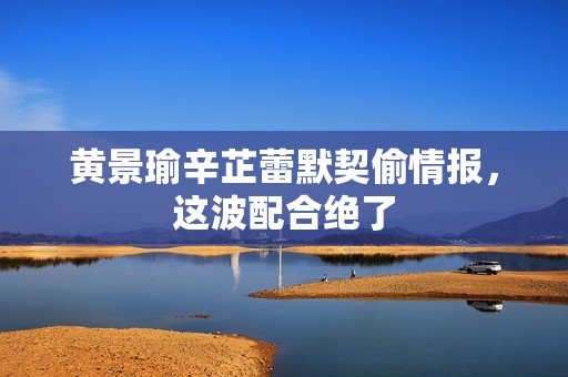 黄景瑜辛芷蕾默契偷情报，这波配合绝了