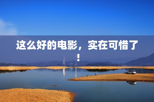 这么好的电影，实在可惜了！