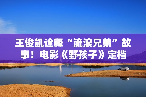 王俊凯诠释“流浪兄弟”故事！电影《野孩子》定档