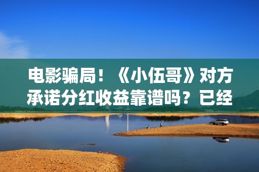 电影骗局！《小伍哥》对方承诺分红收益靠谱吗？已经合同认购可以追回吗？——抵制耐克(骗局改编电影)