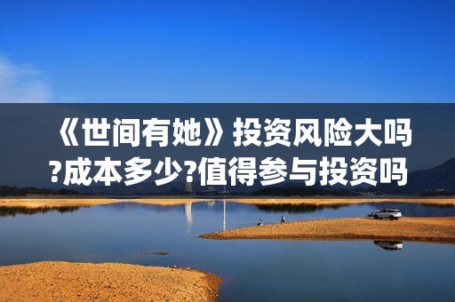 《世间有她》投资风险大吗?成本多少?值得参与投资吗?(世间有她电影宣发)