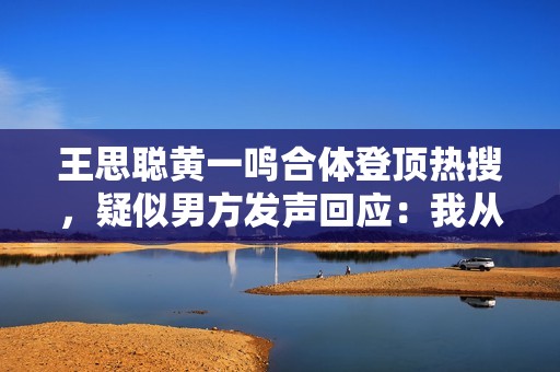 王思聪黄一鸣合体登顶热搜，疑似男方发声回应：我从未碰过她