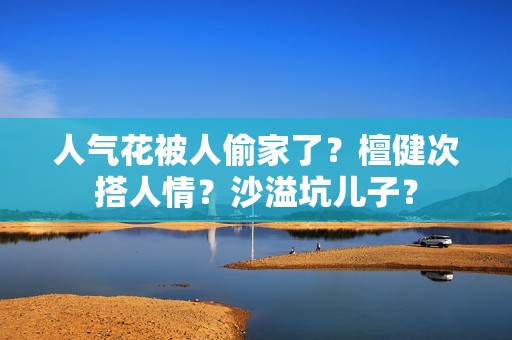 人气花被人偷家了？檀健次搭人情？沙溢坑儿子？