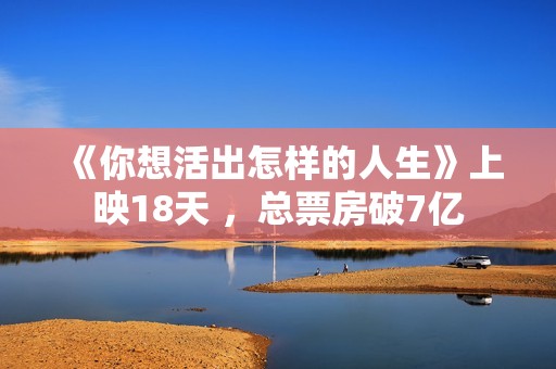 《你想活出怎样的人生》上映18天 ，总票房破7亿