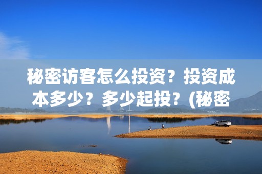 秘密访客怎么投资？投资成本多少？多少起投？(秘密访客怎么投屏观看)