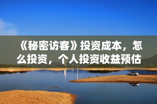 《秘密访客》投资成本，怎么投资，个人投资收益预估多少？(《秘密访客》剧情)