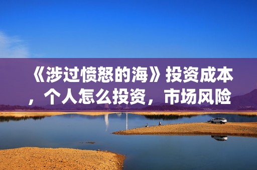 《涉过愤怒的海》投资成本，个人怎么投资，市场风险高吗？(涉过愤怒的海剧情解析)