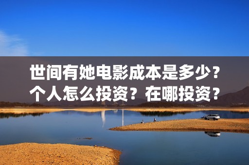 世间有她电影成本是多少？个人怎么投资？在哪投资？(世间有她电影宣发)