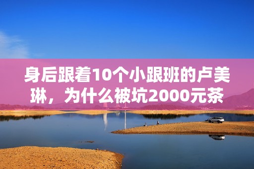 身后跟着10个小跟班的卢美琳，为什么被坑2000元茶水后没找她打架